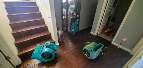 Professional Water damage restoration in Buffalo, TX
