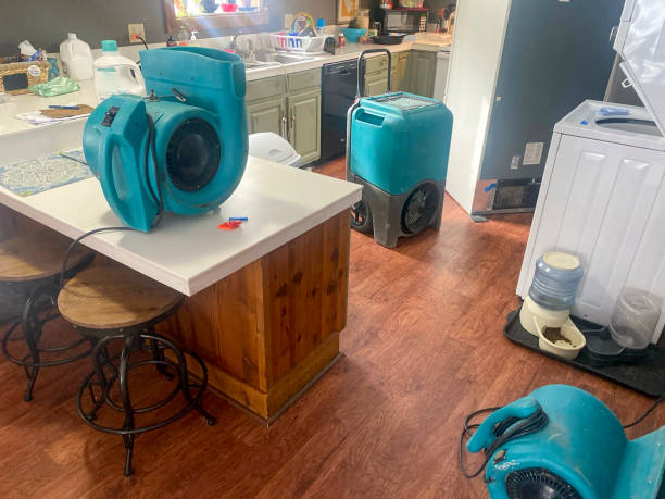 Best Mold removal after water damage  in Buffalo, TX